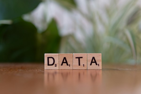 Datadog Base de Datos Personalizada para Metricas Masivas