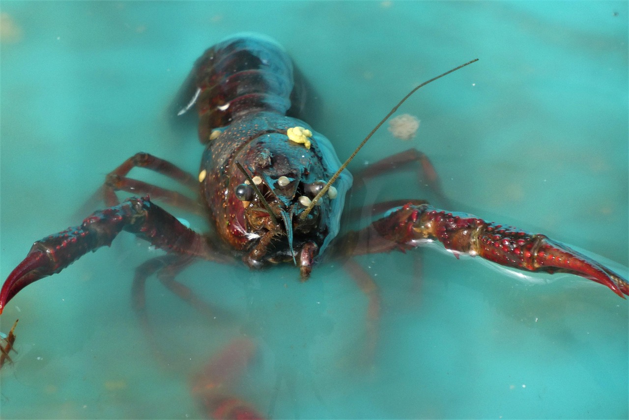Tencent's Lobster AI: Dominating Enterprise with Open-Source